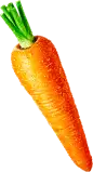 蔬菜