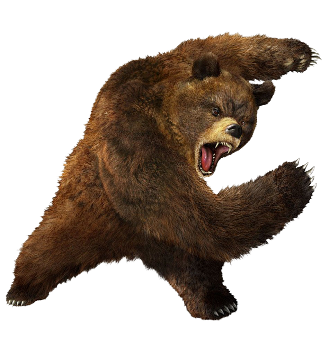 bear_PNG1198.png (95...