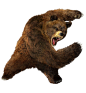 bear_PNG1198.png (950×1024)