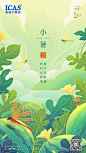 小暑