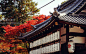 京都图片