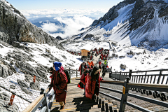 Tomzhao采集到海报
