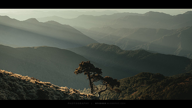 Landscape mountain t...