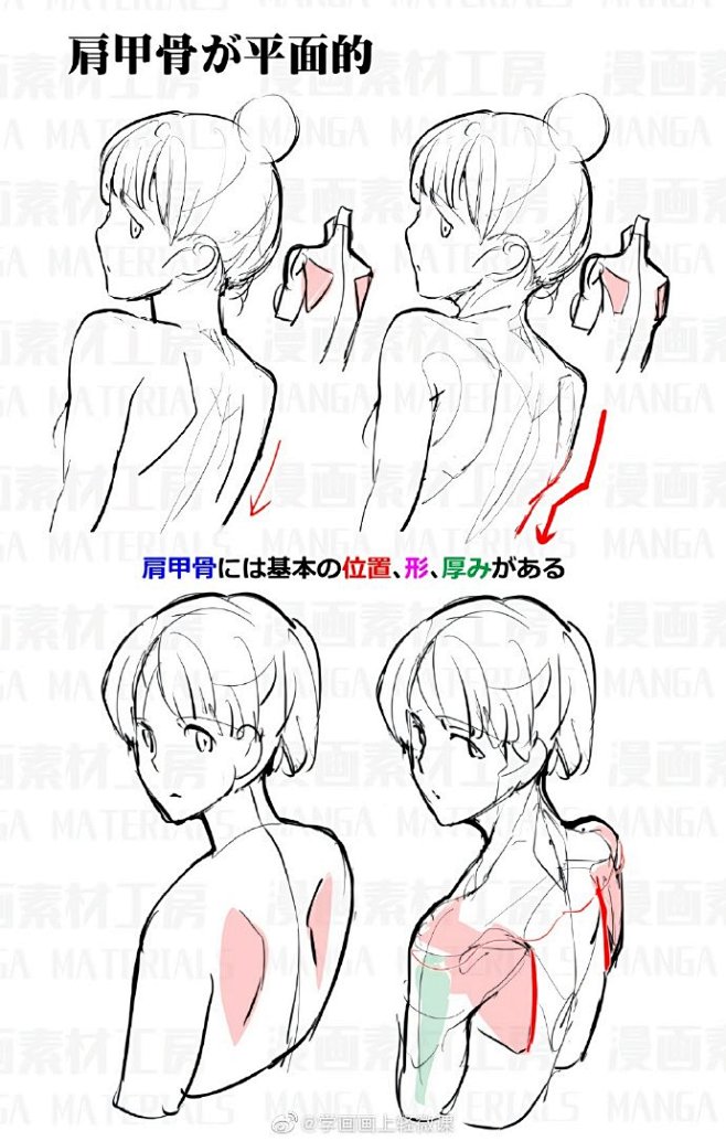 关于人体肩部的画法，来自漫画素材工坊

...