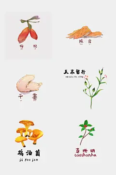植物药材手绘草本植物免扣素材