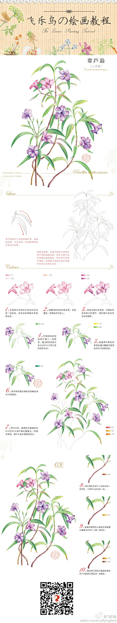 七年女采集到飞飞飞