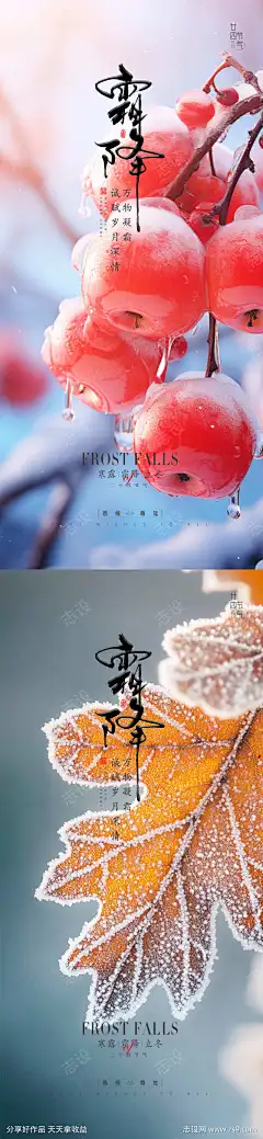霜降节气海报_源文件下载_PSD格式_1080X4676像素-高端,简约,节气,海报,霜降,枫叶,柿子,冬天-作品编号:2025061511071242-源文件下载-志ˉ设`网