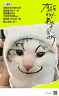 6765d515gy1hh9673qfgcj20n00y8tk7