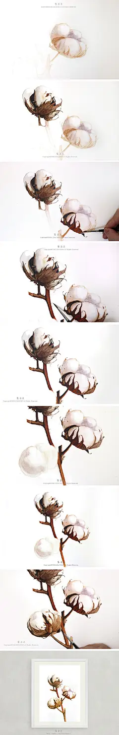 李淡淡水彩插画木棉花步骤图文艺小清新
