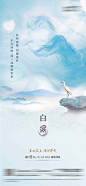 白露节气海报