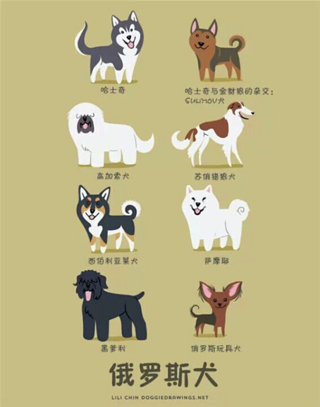 狗