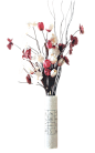 植物、盆栽、盆景png@没有故事的七月