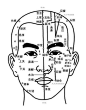 人体穴位图黑白大图版1