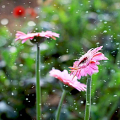 雨````采集到生活