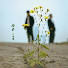 宫娜丽莎采集到方形排版