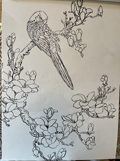 明如拂曉采集到画