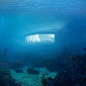 underwater-restaurant-norway-3.jpg (1120×1117)