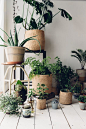 Stunning African natural sisal woven baskets, handwoven by womens' co-operatives. These beautiful fair-trade storage baskets for the home are made using traditional techniques. #plantgang