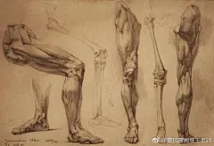 怎么才能画好基础头像素描，必须具备的就是素描基础技法、对人物头像的头骨理解、肌肉理解等走向和质感表现 ​​​​