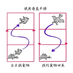 琉璃_浅画采集到设计，学习，技能