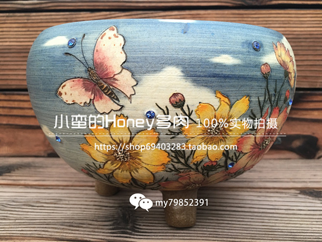 黑雪公主 韩国进口手工粗陶多肉花盆 售罄...