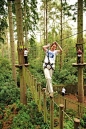 Go Ape to open treetop adventure course at the Blue Jay Point County Park near Falls Lake in north Raleigh - Triangle Business Journal