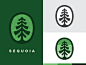 Sequoia