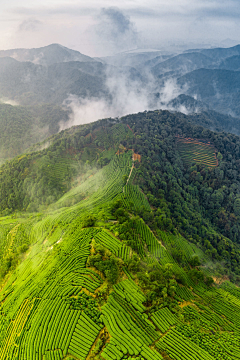 巴拉哟哟哟采集到风景