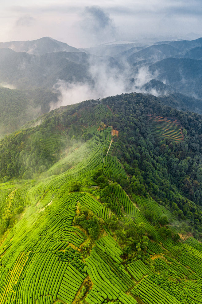 云腾龙井茶山
航拍雨后早晨云雾弥漫的西湖...