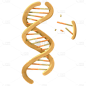 手绘-初高中课程辅导贴纸-DNA