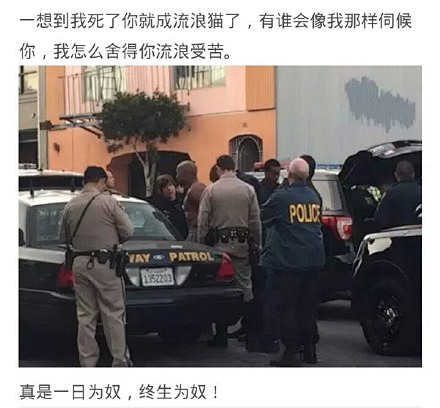 一男子欲跳楼，警方找来了该男子的猫后。。...