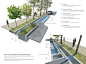 How rainwater gardens could vastly improve water quality in urban environments