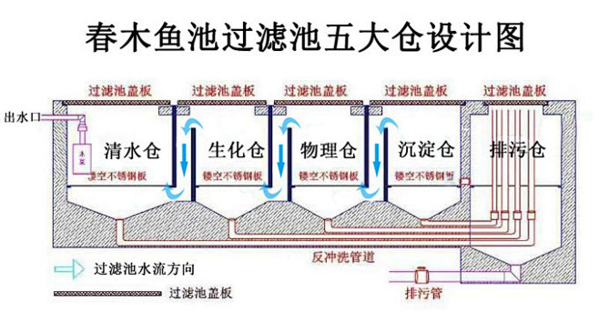 锦鲤鱼池过滤系统设计图