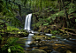 Photograph Forest Deep by John Dekker on 500px