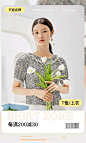 sedate旗舰店