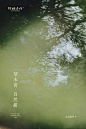 新品｜春甜，渐入佳境
