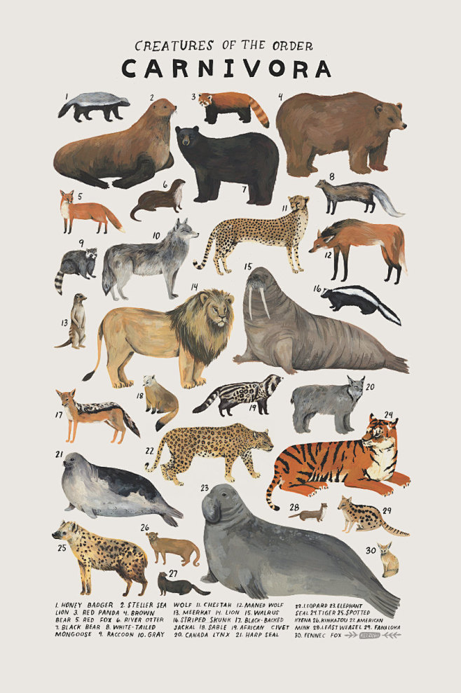 sosuperawesome: Anim...