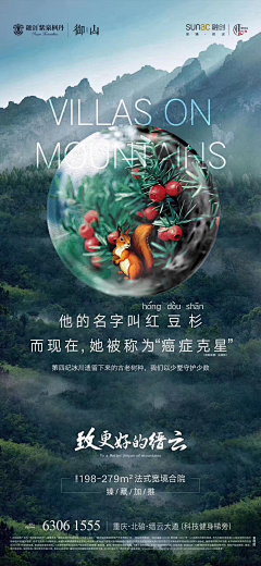 MoMozzzzz采集到单图