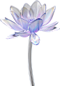 3D Glass Flowers (2)