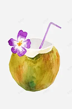 手绘椰子高清素材 吸管 椰汁 水果 紫色花朵 元素 免抠png 设计图片 免费下载