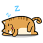 睡觉的猫卡通的搜索结果_百度图片搜索