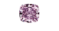 1兰花艳彩紫色钻石