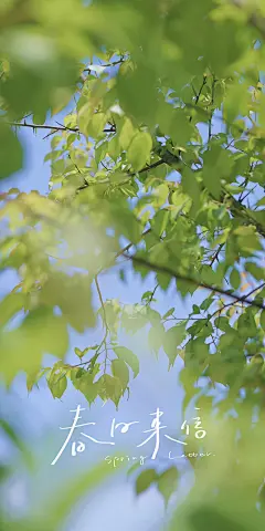 分享最近在用的手机壁纸_优阿曰_2023年03月03日_微头条-今日头条