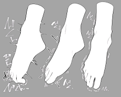 盲神采集到人体结构