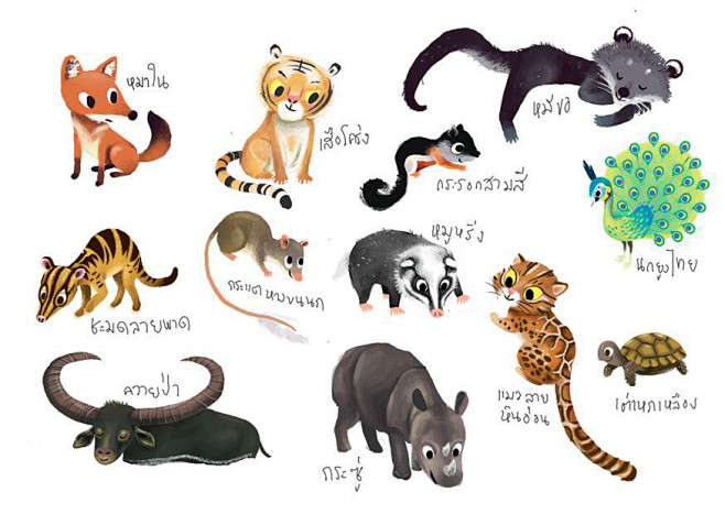 Animals of Thailand ...