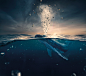 aMORE : aMORE - an organization focused on drawing attention to the ecological, social, economical and cultural impact of marine ecosystems, and the prevention of their degradation. aMORE seeks to raise awareness, and better the relationship of local comm