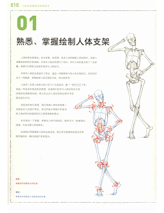 颜迟六月采集到人体结构原理