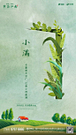 地产-节气-小满-微信稿19