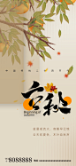 立秋节气海报-志设网-zs9.com