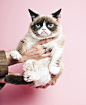 Grumpy Cat shot for Time Magazine